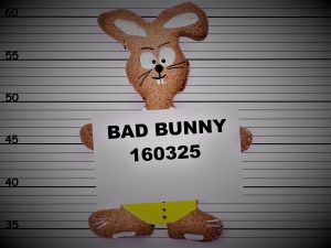 mugshot of a bad bunny